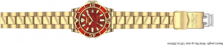 Image Band for Invicta Pro Diver 10623