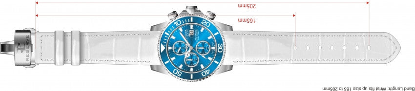 Image Band for Invicta Pro Diver 12182