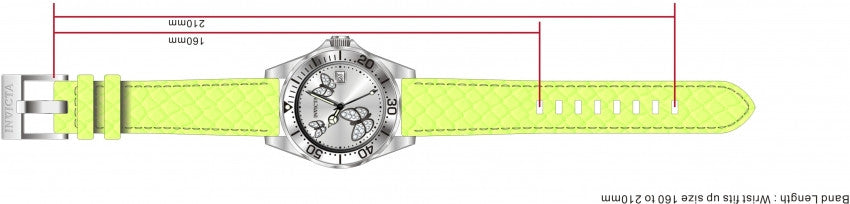 Image Band for Invicta Pro Diver 12516